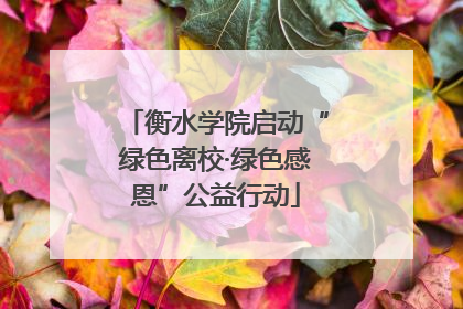 衡水学院启动“绿色离校·绿色感恩”公益行动