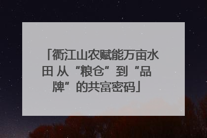 衢江山农赋能万亩水田 从“粮仓”到“品牌”的共富密码