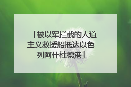 被以军拦截的人道主义救援船抵达以色列阿什杜德港