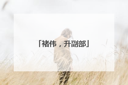 褚伟，升副部