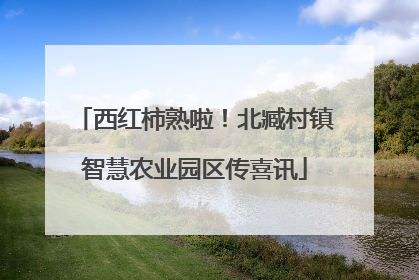 西红柿熟啦！北臧村镇智慧农业园区传喜讯