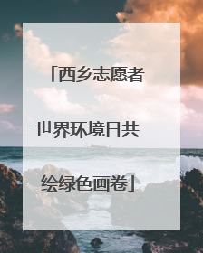 西乡志愿者世界环境日共绘绿色画卷
