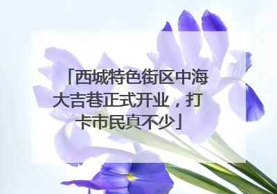 西城特色街区中海大吉巷正式开业，打卡市民真不少