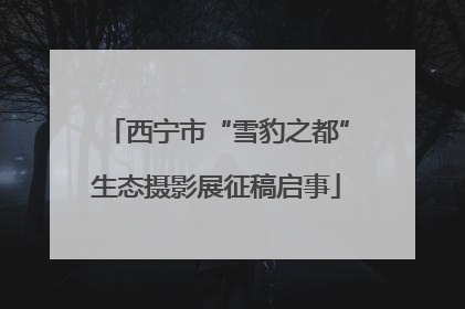 西宁市“雪豹之都”生态摄影展征稿启事