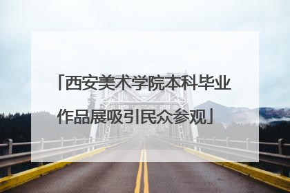 西安美术学院本科毕业作品展吸引民众参观