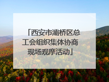 西安市灞桥区总工会组织集体协商现场观摩活动