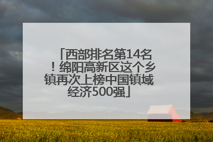 西部排名第14名！绵阳高新区这个乡镇再次上榜中国镇域经济500强