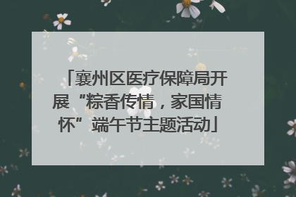 襄州区医疗保障局开展“粽香传情，家国情怀”端午节主题活动