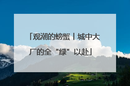 观潮的螃蟹丨城中大厂的全“绿”以赴
