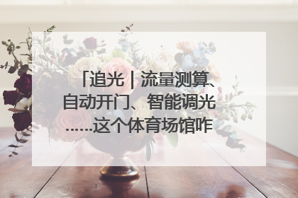 追光｜流量测算、自动开门、智能调光……这个体育场馆咋这么先进？