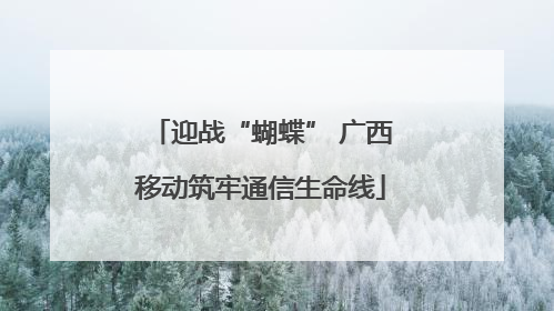 迎战“蝴蝶” 广西移动筑牢通信生命线
