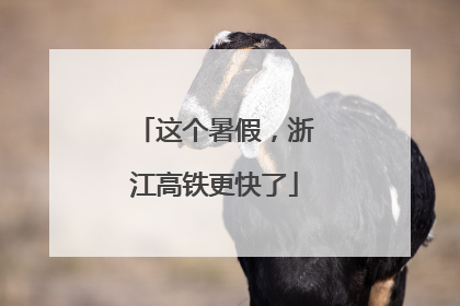 这个暑假，浙江高铁更快了