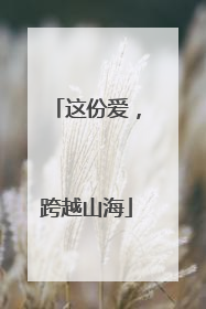 这份爱，跨越山海