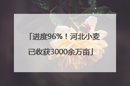进度96%！河北小麦已收获3000余万亩