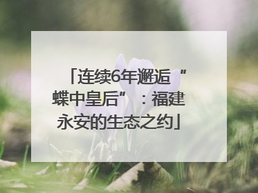 连续6年邂逅“蝶中皇后”：福建永安的生态之约