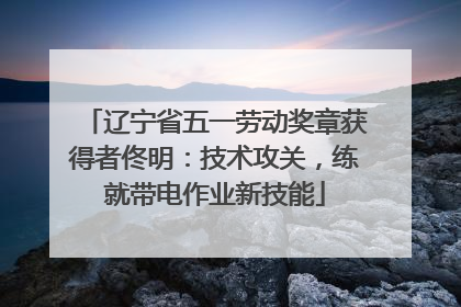 辽宁省五一劳动奖章获得者佟明：技术攻关，练就带电作业新技能