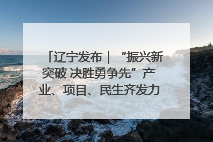 辽宁发布｜“振兴新突破 决胜勇争先”产业、项目、民生齐发力 葫芦岛按下决胜之年“加速键”