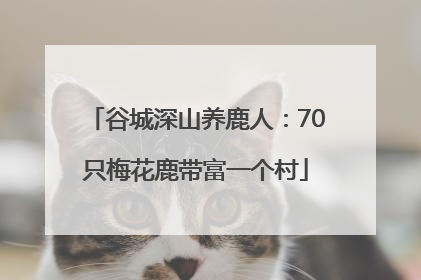 谷城深山养鹿人：70只梅花鹿带富一个村