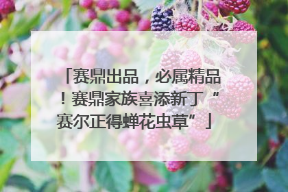 赛鼎出品，必属精品！赛鼎家族喜添新丁“赛尔正得蝉花虫草”
