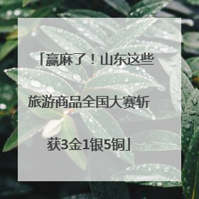 赢麻了！山东这些旅游商品全国大赛斩获3金1银5铜