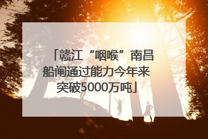 赣江“咽喉”南昌船闸通过能力今年来突破5000万吨