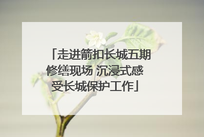走进箭扣长城五期修缮现场 沉浸式感受长城保护工作