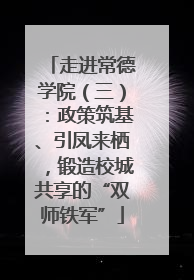 走进常德学院（三）：政策筑基、引凤来栖，锻造校城共享的“双师铁军”