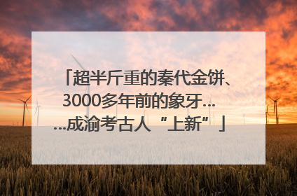 超半斤重的秦代金饼、3000多年前的象牙……成渝考古人“上新”