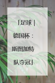 足球｜德国杯：斯图加特队夺冠