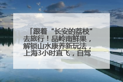 跟着“长安的荔枝”去旅行！品岭南鲜果，解锁山水康养新玩法，上海3小时直飞，自驾高速费优惠