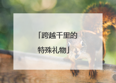 跨越千里的特殊礼物