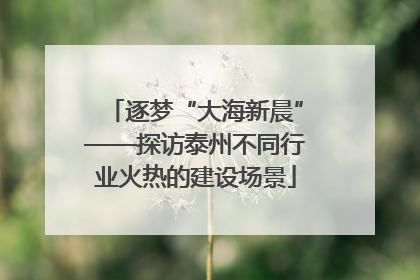 逐梦“大海新晨”——探访泰州不同行业火热的建设场景