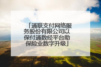 通联支付网络服务股份有限公司以保付通数经平台助保险业数字升级