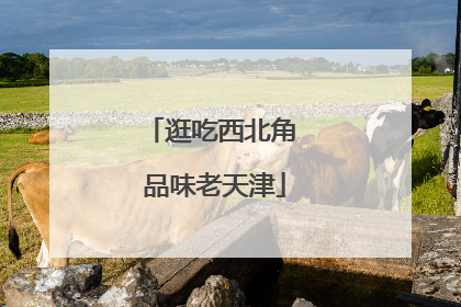 逛吃西北角 品味老天津