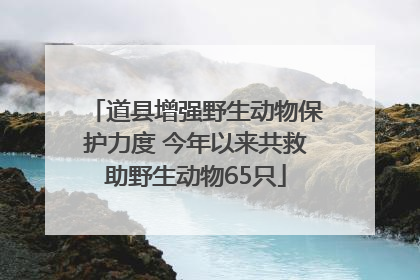 道县增强野生动物保护力度 今年以来共救助野生动物65只