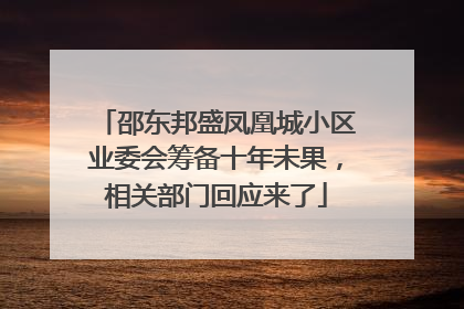 邵东邦盛凤凰城小区业委会筹备十年未果，相关部门回应来了