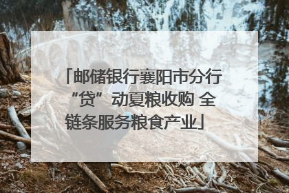 邮储银行襄阳市分行“贷”动夏粮收购 全链条服务粮食产业