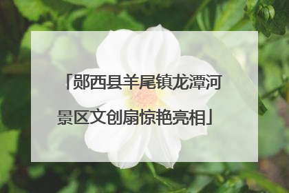 郧西县羊尾镇龙潭河景区文创扇惊艳亮相