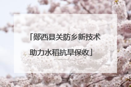 郧西县关防乡新技术助力水稻抗旱保收