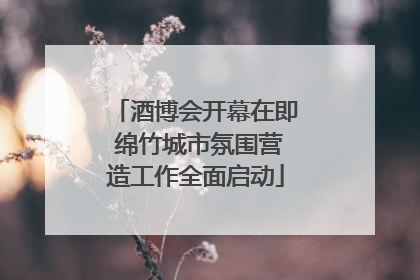 酒博会开幕在即 绵竹城市氛围营造工作全面启动