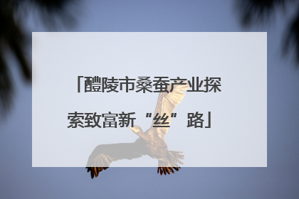 醴陵市桑蚕产业探索致富新“丝”路