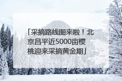 采摘路线图来啦！北京昌平近5000亩樱桃迎来采摘黄金期