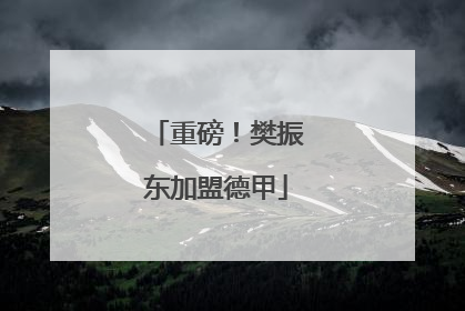 重磅！樊振东加盟德甲