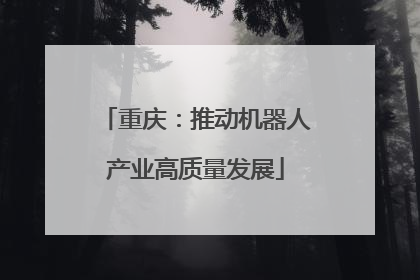 重庆：推动机器人产业高质量发展
