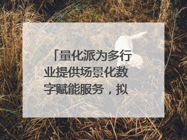 量化派为多行业提供场景化数字赋能服务，拟港交所上市