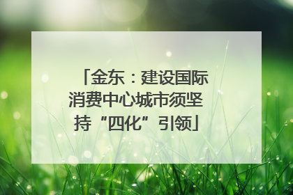 金东：建设国际消费中心城市须坚持“四化”引领