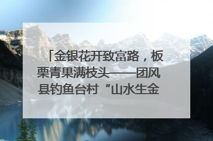 金银花开致富路，板栗青果满枝头——团风县钓鱼台村“山水生金”谱写共富新篇章