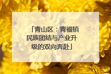 青山区：青福镇民族团结与产业升级的双向奔赴