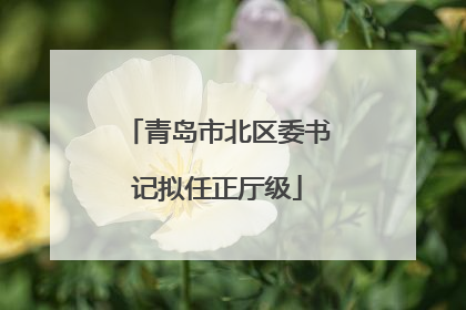 青岛市北区委书记拟任正厅级