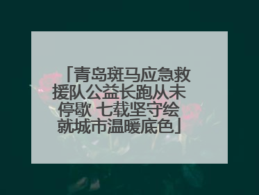 青岛斑马应急救援队公益长跑从未停歇 七载坚守绘就城市温暖底色